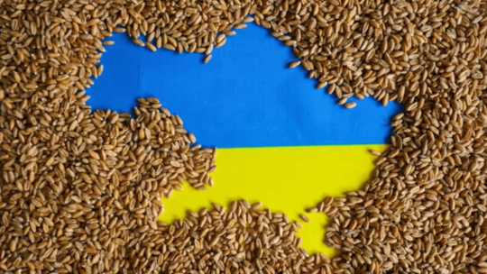 agriculture ukrainienne