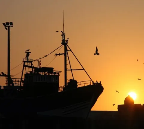 Les attaques informationnelles de l’ONG Bloom contre la Compagnie des Pêches Saint-Malo