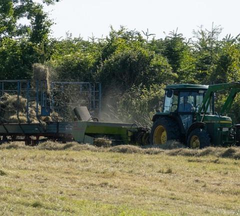 secteur agroalimentaire