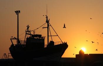 Les attaques informationnelles de l’ONG Bloom contre la Compagnie des Pêches Saint-Malo