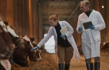 Visuel santé animale