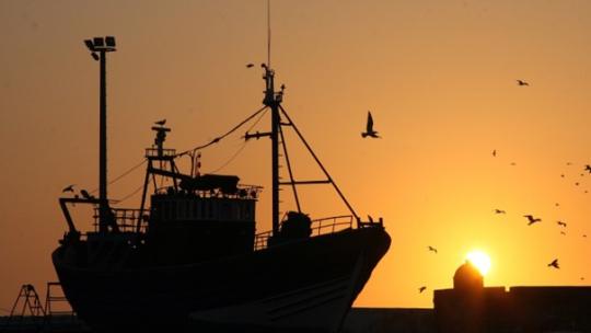 Les attaques informationnelles de l’ONG Bloom contre la Compagnie des Pêches Saint-Malo