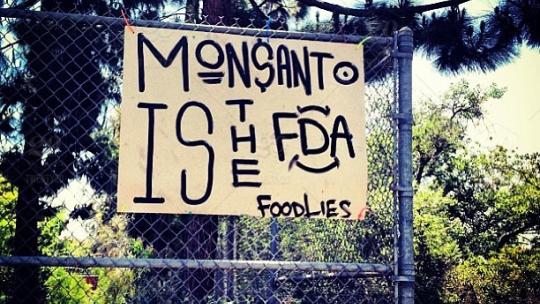 stock-photo-awareness-marchagainstmonsanto-conscious-monsanto-gmo-biohazard-553c0e86-82a7-42dd-bcff-eb3de3c18c01.jpg